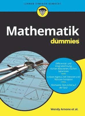 Mark Ryan - Mathematik fur Dummies, Häftad