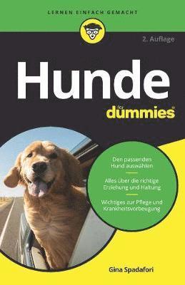 bokomslag Hunde fr Dummies