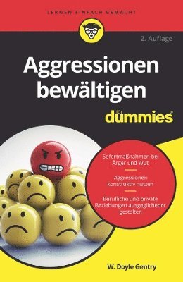 bokomslag Aggressionen bewältigen für Dummies