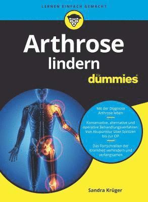 bokomslag Arthrose lindern fr Dummies