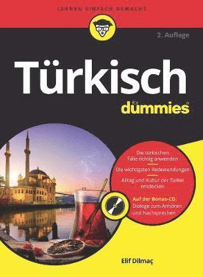 bokomslag Turkisch fur Dummies