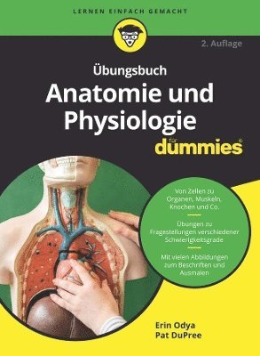 bungsbuch Anatomie und Physiologie fr Dummies 1