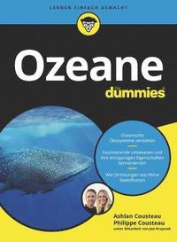bokomslag Ozeane fr Dummies