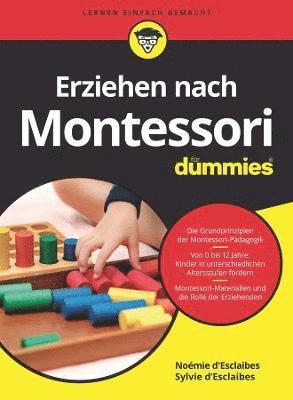 bokomslag Erziehen nach Montessori fr Dummies