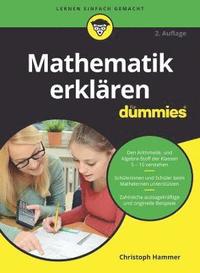 bokomslag Mathematik erklren fr Dummies