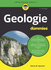 bokomslag Geologie fr Dummies
