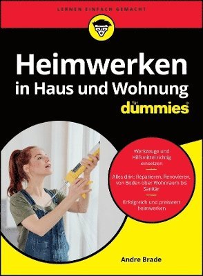 bokomslag Heimwerken in Haus und Wohnung fr Dummies