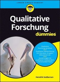 bokomslag Qualitative Forschung fr Dummies