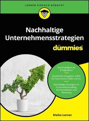 bokomslag Nachhaltige Unternehmensstrategien fr Dummies