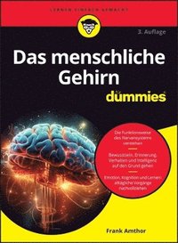 bokomslag Das menschliche Gehirn fr Dummies