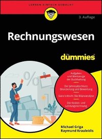 bokomslag Rechnungswesen fr Dummies