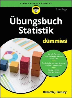 Deborah J. Rumsey - Übungsbuch Statistik für Dummies, Häftad