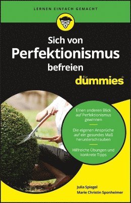 bokomslag Sich vom Perfektionismus befreien für Dummies