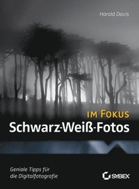 bokomslag Schwarz-Wei-Fotos im Fokus