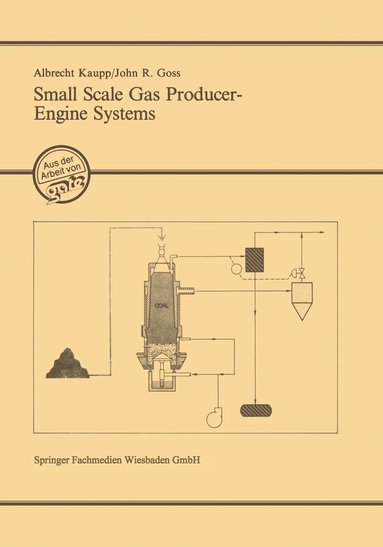 bokomslag Small Scale Gas Producer-Engine Systems