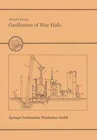bokomslag Gasification of Rice Hulls