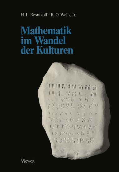 bokomslag Mathematik im Wandel der Kulturen