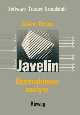 bokomslag Unternehmensanalyse mit Javelin