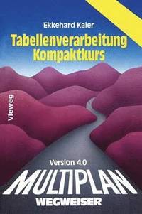 bokomslag Multiplan 4.0-Wegweiser Tabellenverarbeitung Kompaktkurs