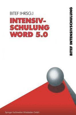 bokomslag Intensivschulung Word 5.0