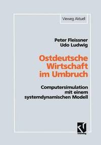 bokomslag Ostdeutsche Wirtschaft im Umbruch