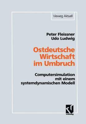 bokomslag Ostdeutsche Wirtschaft im Umbruch