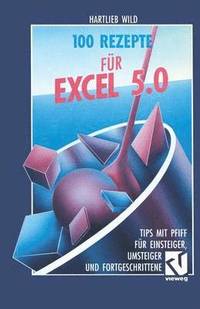 bokomslag 100 Rezepte fr Excel 5.0