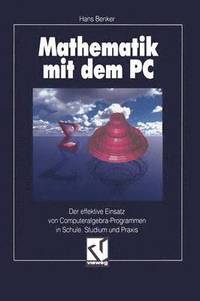 bokomslag Mathematik mit dem PC