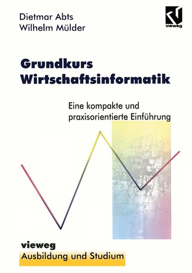 Dietmar Abts - Grundkurs Wirtschaftsinformatik, Häftad