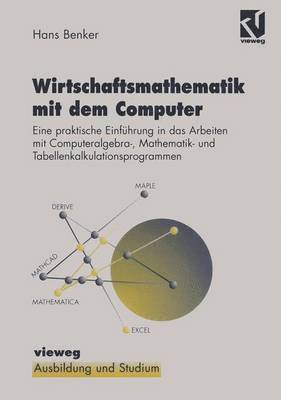 bokomslag Wirtschaftsmathematik mit dem Computer