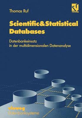 bokomslag Scientific&Statistical Databases