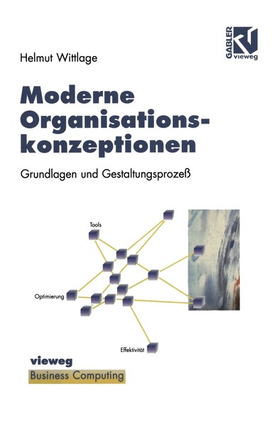 Helmut Wittlage - Moderne Organisationskonzeptionen, Häftad