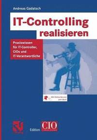 bokomslag IT-Controlling realisieren