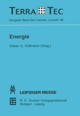 bokomslag Energie- und Umweltpolitik