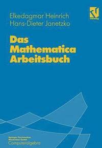 bokomslag Das Mathematica Arbeitsbuch
