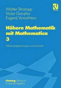 bokomslag Hhere Mathematik mit Mathematica