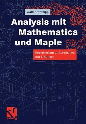 Walter Strampp - Analysis mit Mathematica und Maple, Häftad
