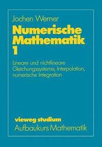 bokomslag Numerische Mathematik