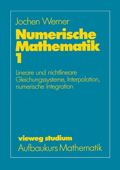 Jochen Werner - Numerische Mathematik, Häftad