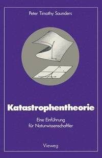 bokomslag Katastrophentheorie