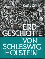 Erdgeschichte von Schleswig Holstein