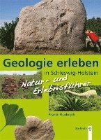 bokomslag Geologie erleben in Schleswig-Holstein