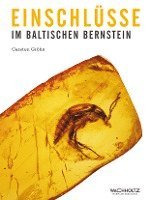 Carsten Gröhn - Einschlüsse im baltischen Bernstein, Inbunden