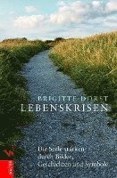 Brigitte Dorst - Lebenskrisen, Inbunden
