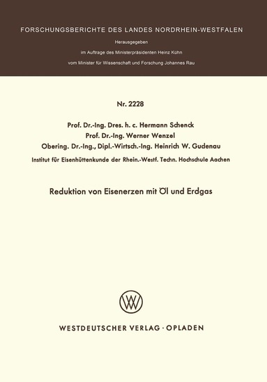 Hermann Schenck - Reduktion von Eisenerzen mit Öl und Erdgas, Häftad