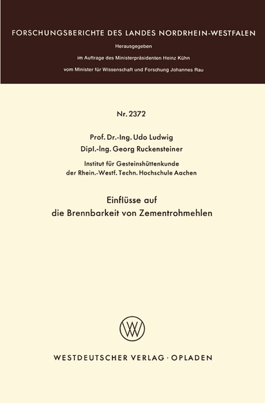 Udo Ludwig - Einflüsse auf die Brennbarkeit von Zementrohmehlen, Häftad