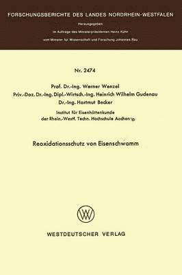 bokomslag Reoxidationsschutz von Eisenschwamm