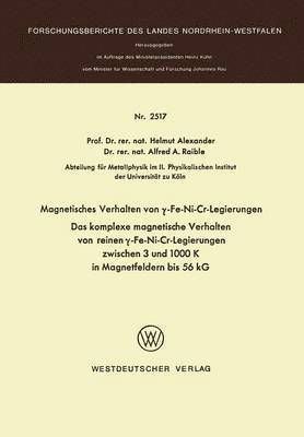 bokomslag Magnetisches Verhalten von ?-Fe-Ni-Cr-Legierungen