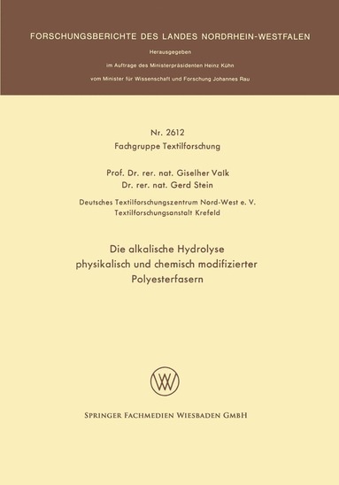 bokomslag Die alkalische Hydrolyse physikalisch und chemisch modifizierter Polyesterfasern