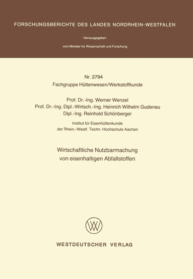 Werner Wenzel - Wirtschaftliche Nutzbarmachung von eisenhaltigen Abfallstoffen, Häftad